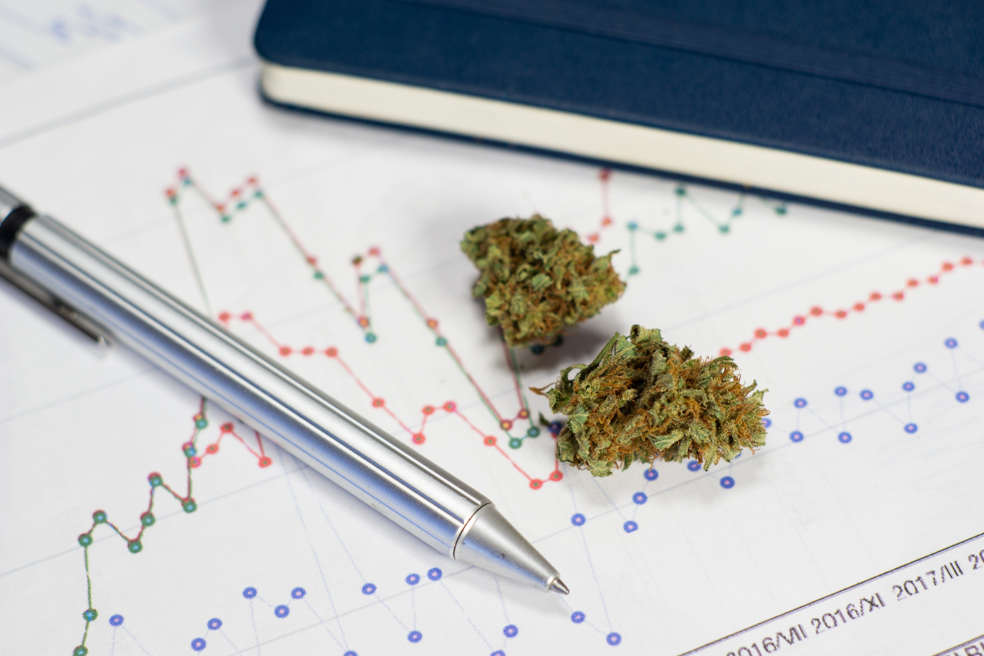 Cannabis Accounting