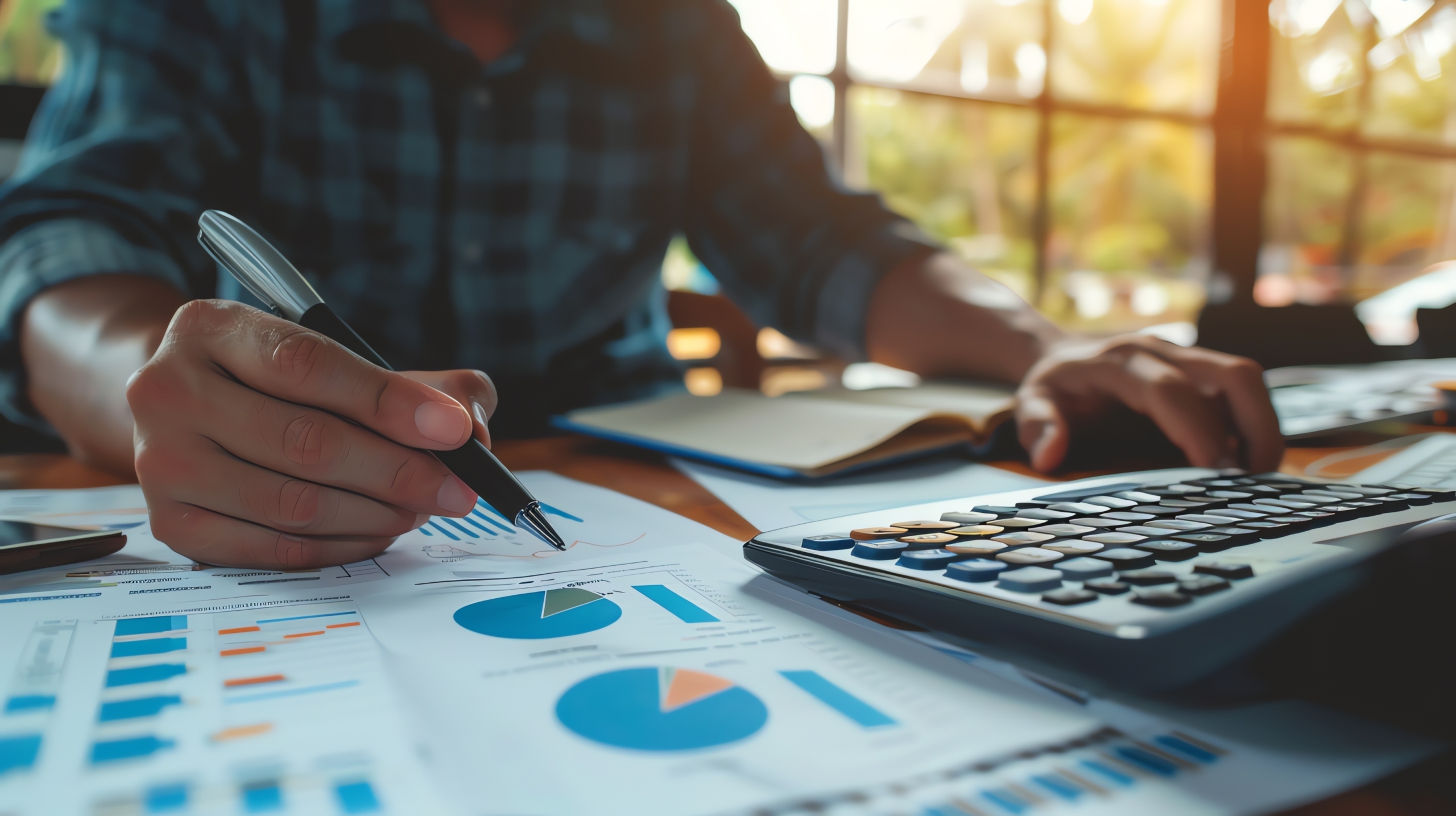 CFO Role