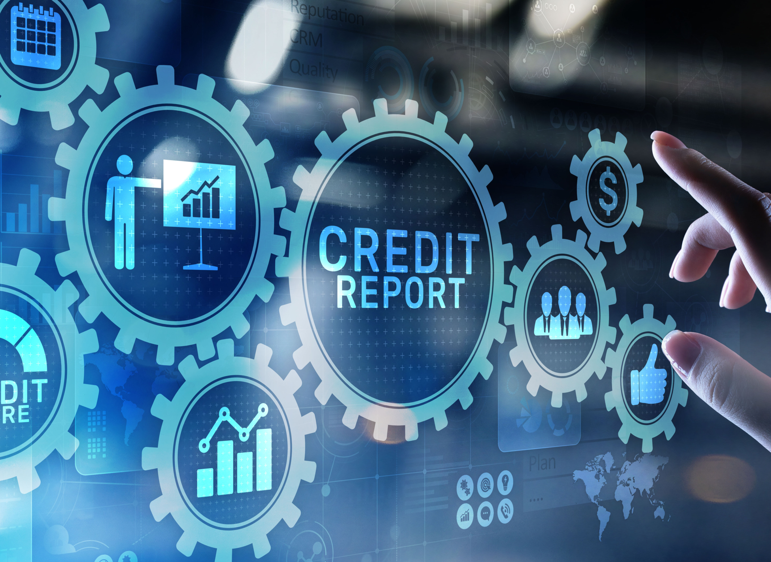 Business Credit Profile