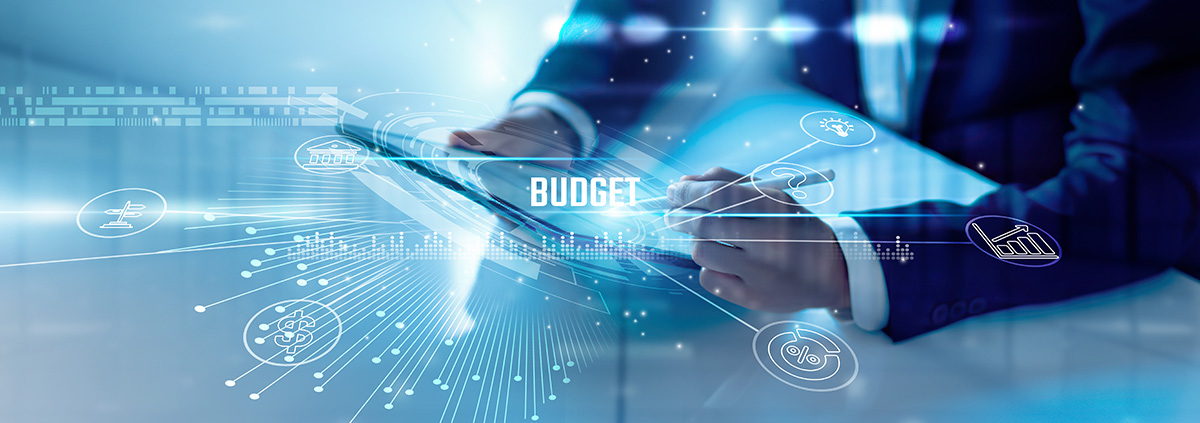 Budgeting for High Growth Companies