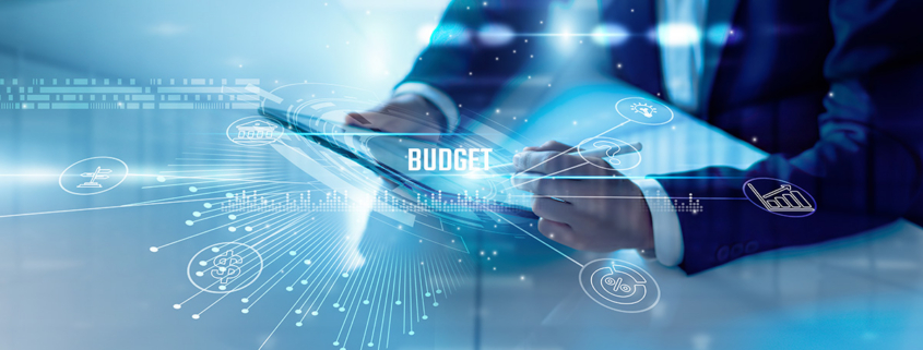 Budgeting for High Growth Companies