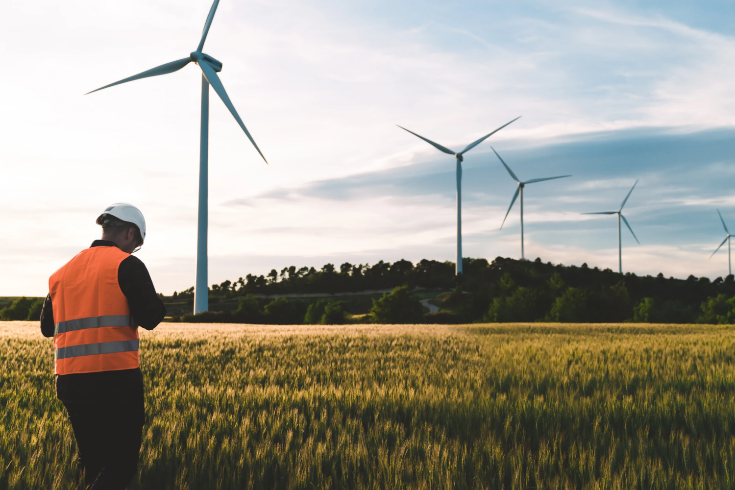 Outsourced accounting for renewable energy companies Renewable energy professional reviewing project financials near solar panels or wind turbines